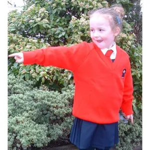 Holy Cross Girls Primary School V-Neck Sweatshirt