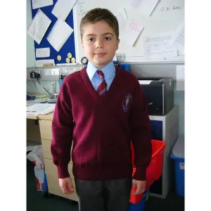 Ligoniel Primary School V-NECK Jumper