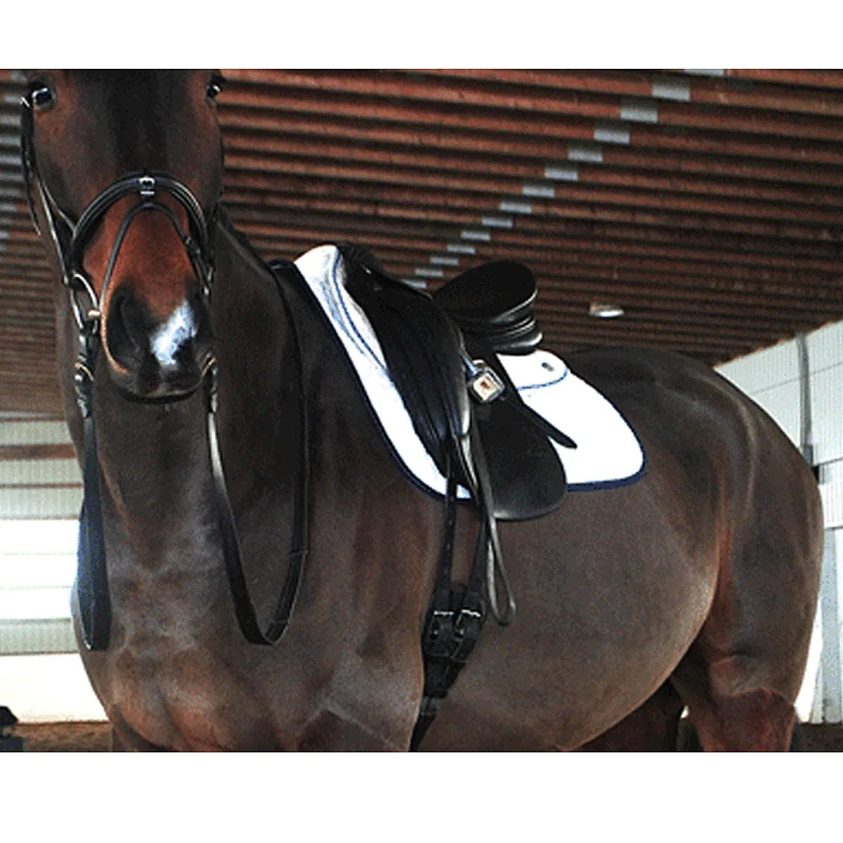 Ogilvy Jumper Baby Pad - Custom
